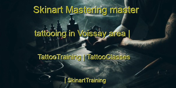 Skinart Mastering master tattooing in Voissay area | TattooTraining | TattooClasses | SkinartTraining-France